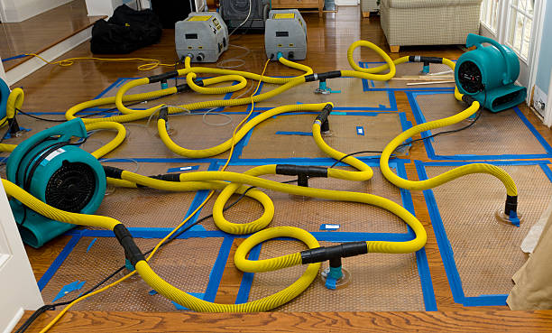 Professional Water Extraction technician working in Butte Des Morts, WI