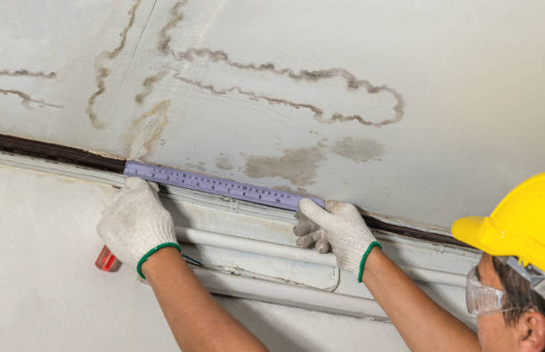 Affordable Water Damage Repair solutions in Butte Des Morts, WI